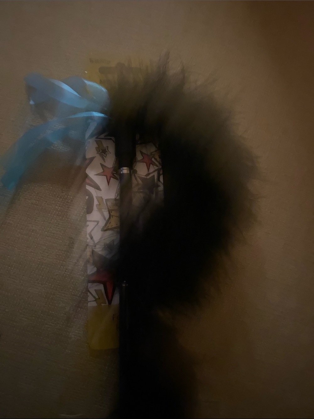 Feather Teaser Wand Cat Toy - Black